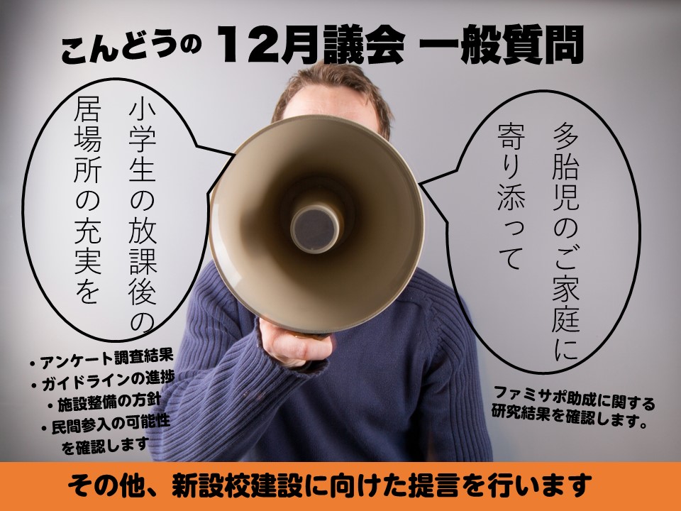 平成29年第4回定例会 一般質問